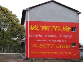 信丰百分之90的人都不了解的农村墙体广告