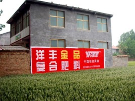 信丰如何让墙体广告展现最大化效果