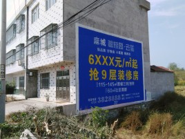 信丰墙体广告质量分析