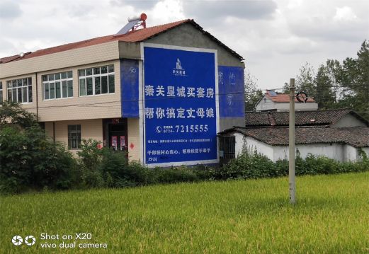 信丰决定墙体广告价格的因素有哪些？