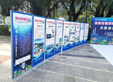 信丰KT板的种类和知识。